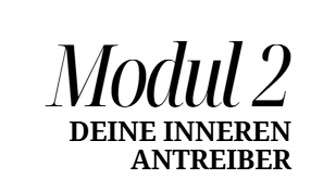 innere Antreiber